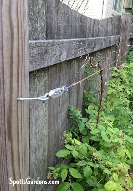 You can make this metal garden arch trellis from just $25 of steel rebar. Vertical Gardening Using Trellises and More - Spotts ...