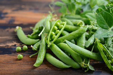 Growing Perfect Peas Jung Seeds Gardening Blog