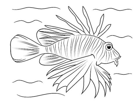 Lionfish Coloring Page at GetColorings.com | Free printable colorings