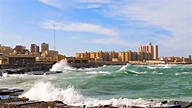 Alexandria 2021: Top 10 Tours & Activities (with Photos) - Things to Do ...