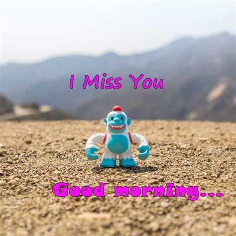 Good Morning Quotes I Miss You Good Morning Have A Nice Day Boomsumo