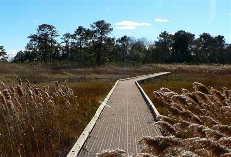 8 Trails In Delaware With An Undeniably Amazing Final Destination