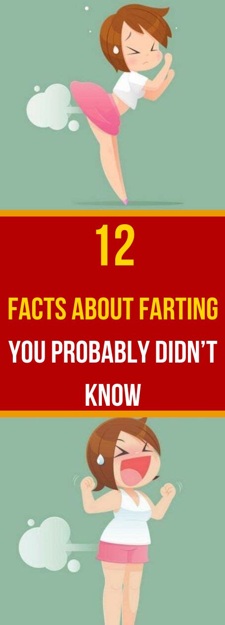 Facts About Farting You Probably Didnt Know Healthmgz