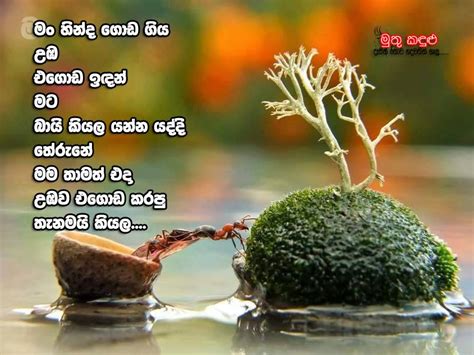 Arundathi Sinhala Master Wadan Gamma Wadan Sinhala