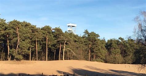 Het hoogste peil sinds de watersnoodramp in 1953. Code rood ontvluchten in het groen van Herperduin | Oss e ...