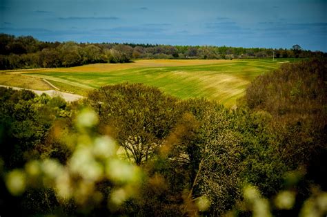 Find Us The Chilterns Fox