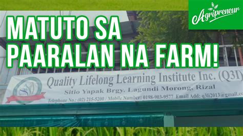 Mag Aral At Matuto Sa Quality Lifelong Learning Institute Inc Youtube