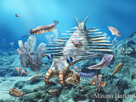 Cambrian Explosion Prehistoric Animals Ancient Animals Prehistoric
