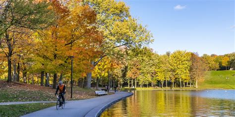 Things to do in Montréal in November 2020 - Outdoor activities ...