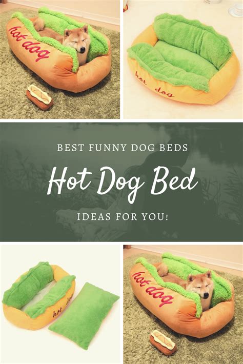 Hot Dog Dog Bed Funny Dog Beds Dogmegacom Funny Dog Beds Funny
