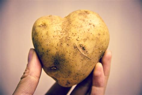 potatoes are love potatoes are life potatoes little potatoes food