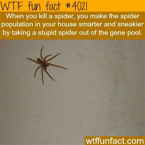 Wtf Facts Page 821 Of 1304 Funny Interesting And Weird Facts