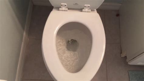 Toilet Flushing Youtube Riset