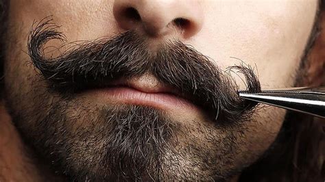 9 Epic Moustache Styles You Will Want To Try Moustache Style Beard And Mustache Styles Moustache