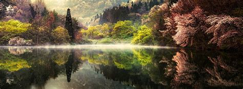 Online Crop Hd Wallpaper Tall Trees Reflecting On Calm Body Of Water
