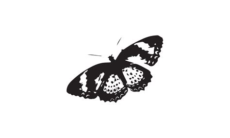 Butterfly Silhouette Vector Illustration Design 5392136 Vector Art At