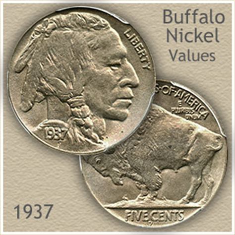 Your new password must contain eight or more characters and at least one number. 1937 Nickel Value | Discover Your Buffalo Nickel Worth