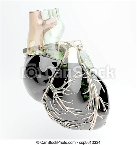 Model Of Artificial Human Heart Canstock
