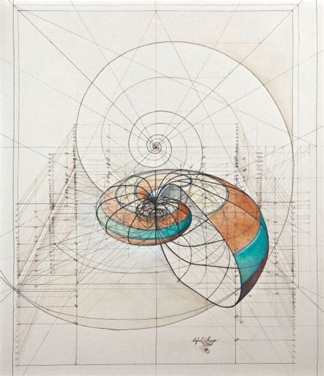 Biomimesis Y Arte Geometry Art Geometric Art Sacred Geometry