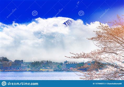 Mount Fuji And Cherry Blossoms Which Are Viewed From Lake Kawaguchiko