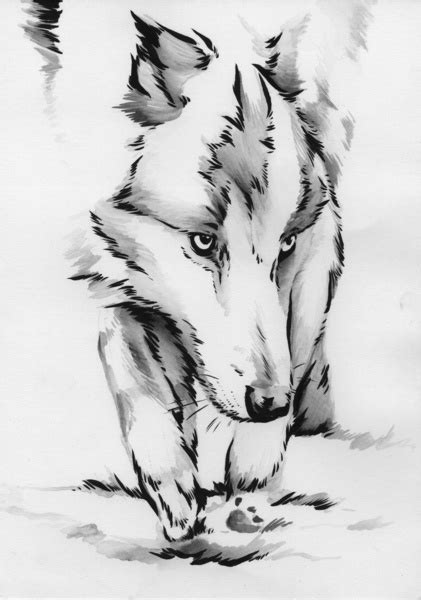 Abstract Wolf Tattoo Ideas Flawssy