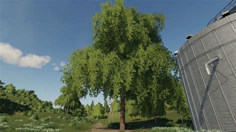 Deciduous Tree Placeable V1 0 FS19 Farming Simulator 19 Mod FS19 Mod
