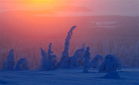 Lapland Sunrise — Sven Zacek