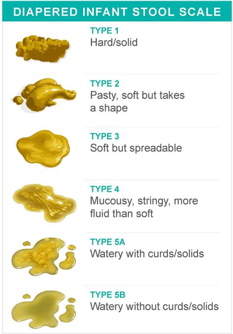 Bristol Stool Chart Type 6 Toddler Kids Matttroy