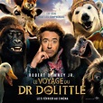 Regardez la bande annonce du film Le Voyage du Dr Dolittle