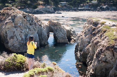 A Wanderers Guide To Point Lobos State Reserve California