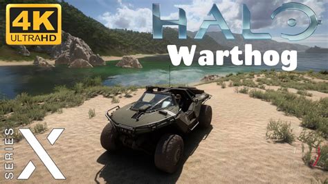 Forza Horizon 5 Halo Warthog Youtube