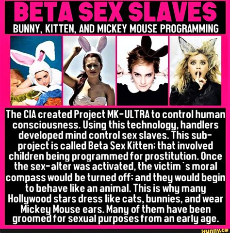 Bunny Kitten And Mickey Mouse Programming The Cia Created Project Mk Ultra To Control Human