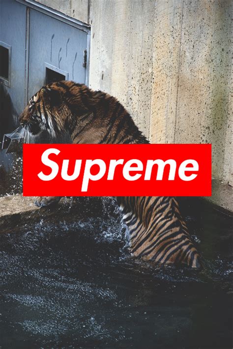 Trill wallpaper and background ghetto dope supreme for. 49+ Dope Lean Wallpapers on WallpaperSafari