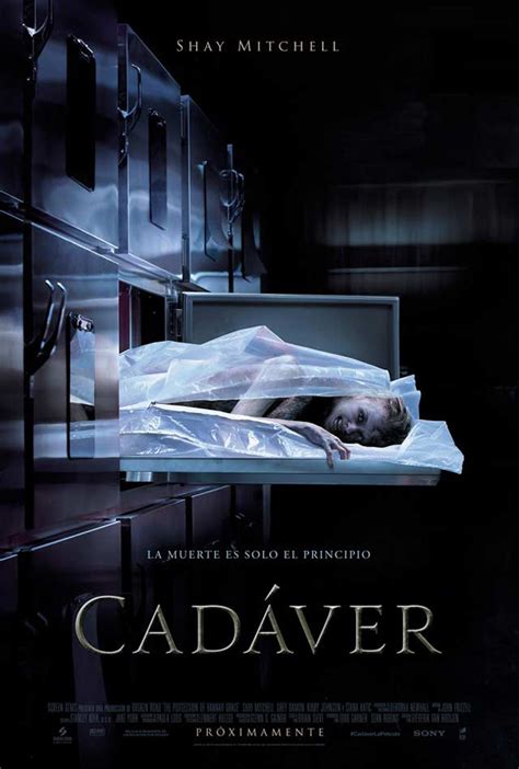 M G Cine Carteles De Pel Culas Cadaver The Possession Of Hannah