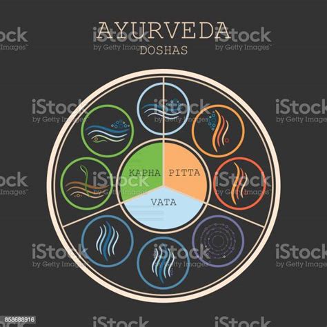 Doshas Vata Pitta Und Kapha Ayurveda Körpertypen Stock Vektor Art Und