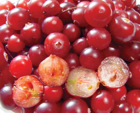 Berry Definition Types And Examples Britannica