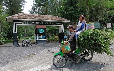Hal tersebut disampaikan langsung oleh pelaksana tugas kepala dinas pariwisata, kepemudaan dan olahraga kabupaten magelang, iwan sutiarso. Semua Destinasi Wisata dan Jalur Pendakian Gunung Merapi ...