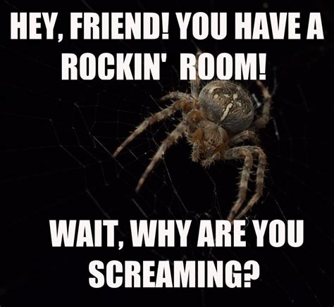 5 Reasons Spiders Arent That Scary Peta2 Spiders Scary Funny
