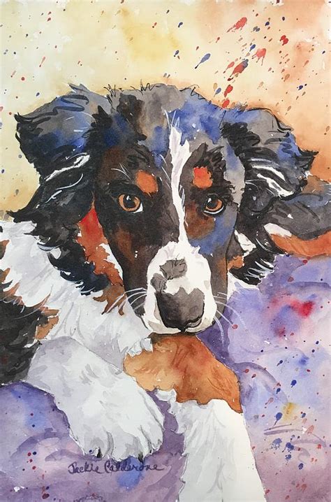 Australian Shepherd Painting By Jackie Calderone