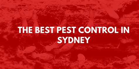 The Best Pest Control Services In Sydney Local Legends