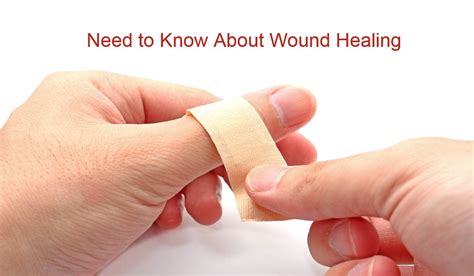 Everything You Need To Know About Wound Healing