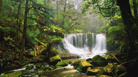 Free Download Hd Wallpaper Waterfall Rocks Moss Green Forest Tree