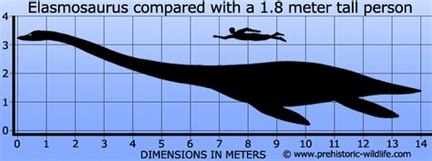 Elasmosaurus
