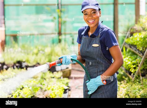 Happy African Female Nursery Worker Watering Plant Stock Photo Alamy