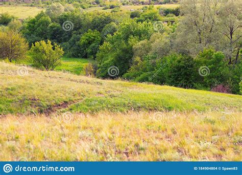 Summer Landscape Green Slopes Field Grass Trees Stock Photo Image Of