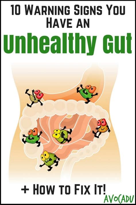 Warning Signs You Have An Unhealthy Gut And What To Do About It