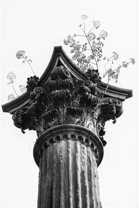 Ruins Of A Corinthian Column With Weeds On Top Black And White
