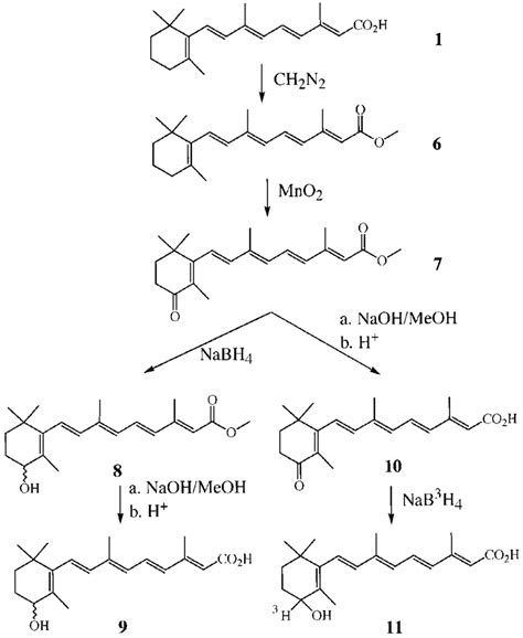 SCHEME 3 Synthesis Of 4 Oxo E Retinoic Acid 4 Hydroxy Download Scientific Diagram