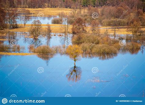Flooded Trees During High Water At Spring Time Snov River Ukraine