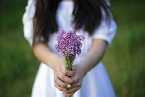 Photo Of Person Holding Purple Flowers · Free Stock Photo